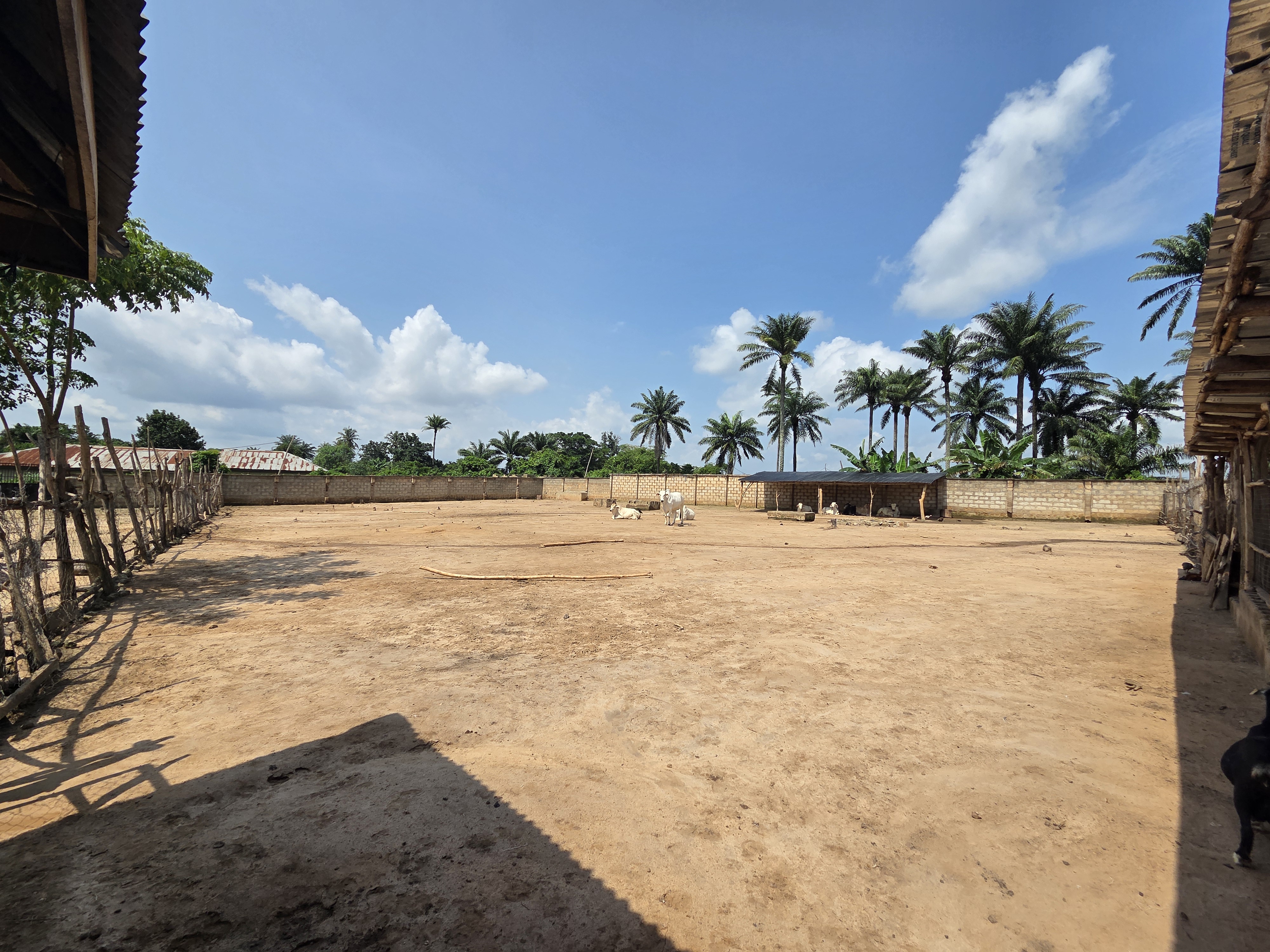 Farm yard overview